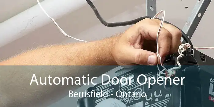 Automatic Door Opener Berrisfield - Ontario