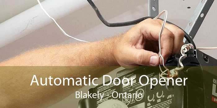 Automatic Door Opener Blakely - Ontario