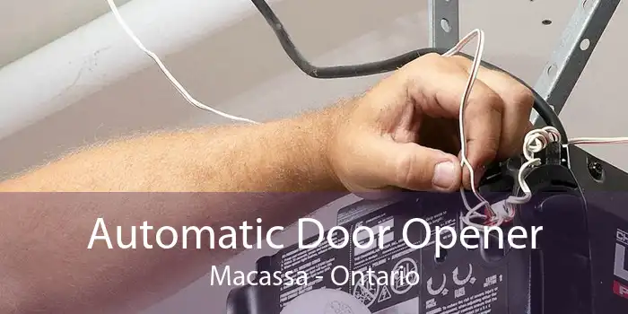 Automatic Door Opener Macassa - Ontario