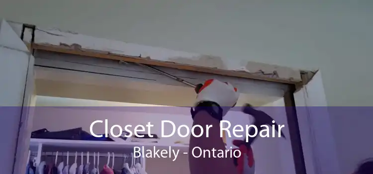 Closet Door Repair Blakely - Ontario