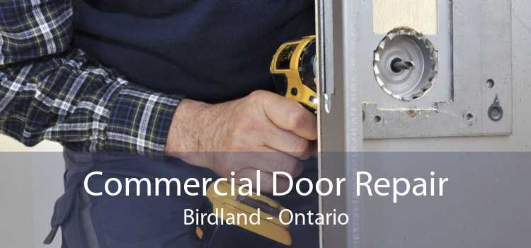 Commercial Door Repair Birdland - Ontario