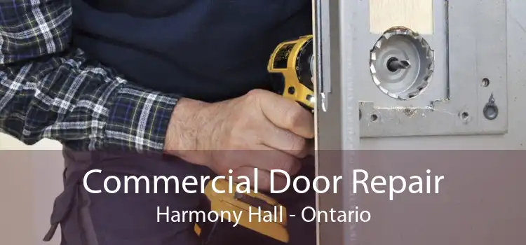 Commercial Door Repair Harmony Hall - Ontario