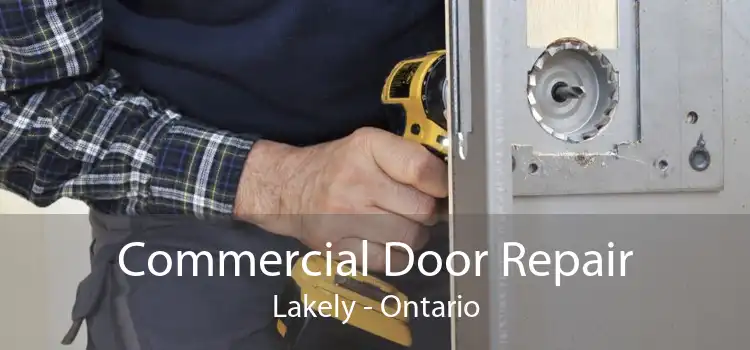 Commercial Door Repair Lakely - Ontario