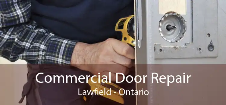 Commercial Door Repair Lawfield - Ontario