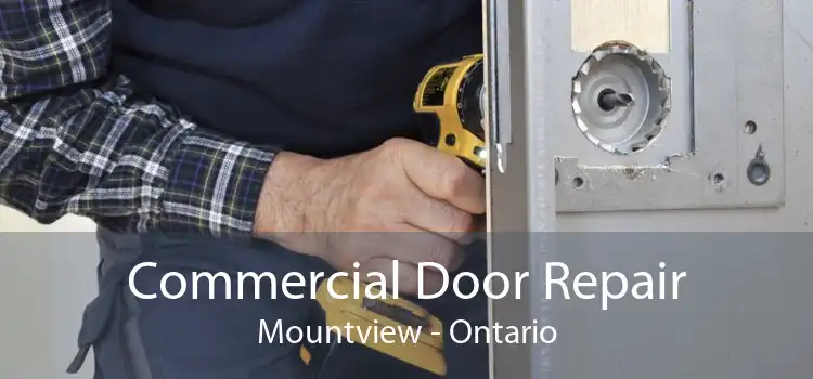 Commercial Door Repair Mountview - Ontario