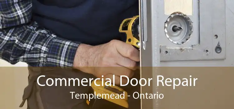 Commercial Door Repair Templemead - Ontario