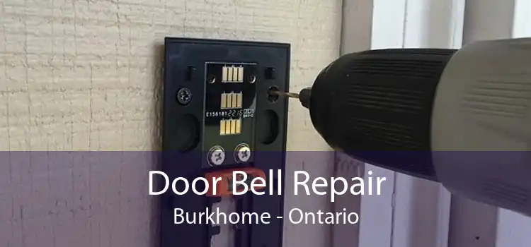 Door Bell Repair Burkhome - Ontario