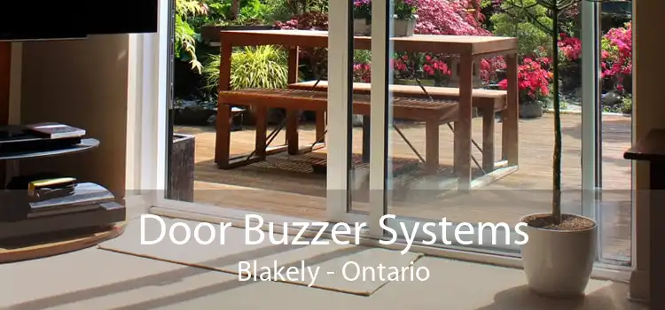 Door Buzzer Systems Blakely - Ontario