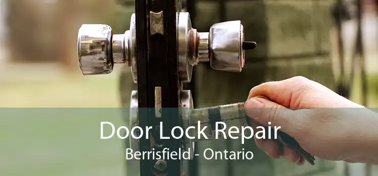 Door Lock Repair Berrisfield - Ontario