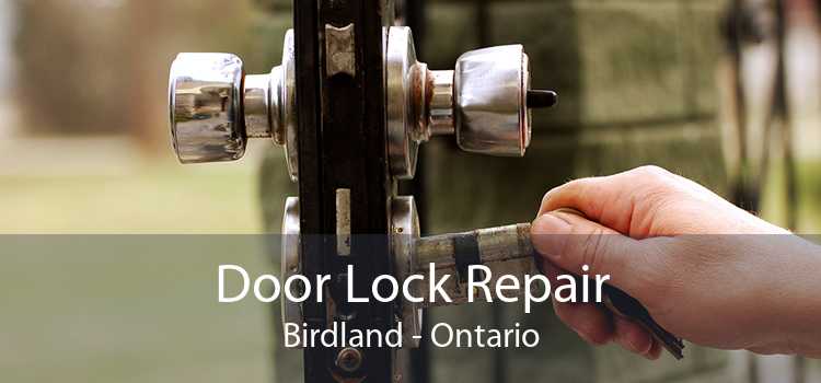 Door Lock Repair Birdland - Ontario