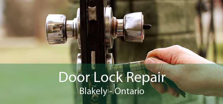 Door Lock Repair Blakely - Ontario