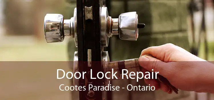Door Lock Repair Cootes Paradise - Ontario