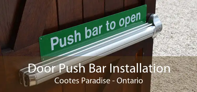 Door Push Bar Installation Cootes Paradise - Ontario