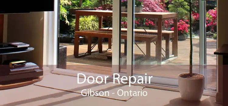 Door Repair Gibson - Ontario