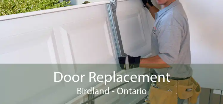 Door Replacement Birdland - Ontario