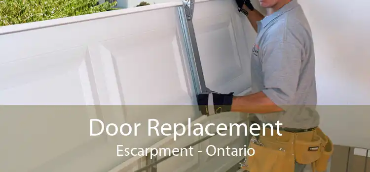 Door Replacement Escarpment - Ontario