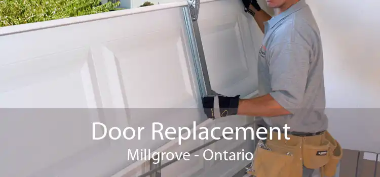 Door Replacement Millgrove - Ontario