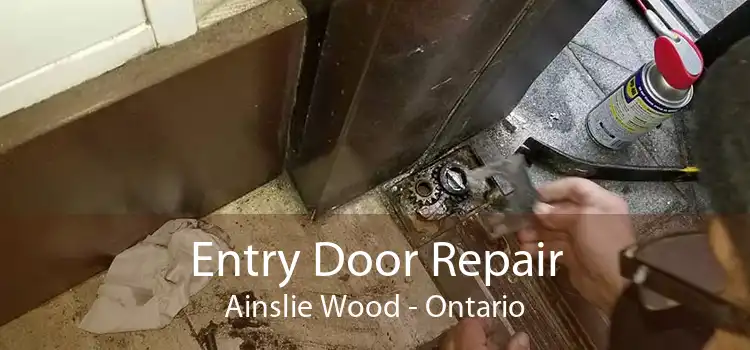 Entry Door Repair Ainslie Wood - Ontario