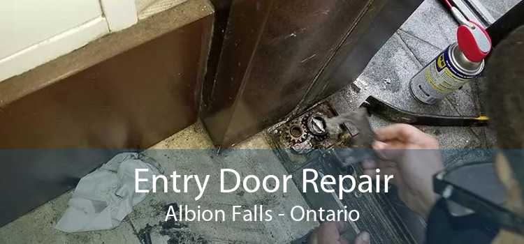 Entry Door Repair Albion Falls - Ontario