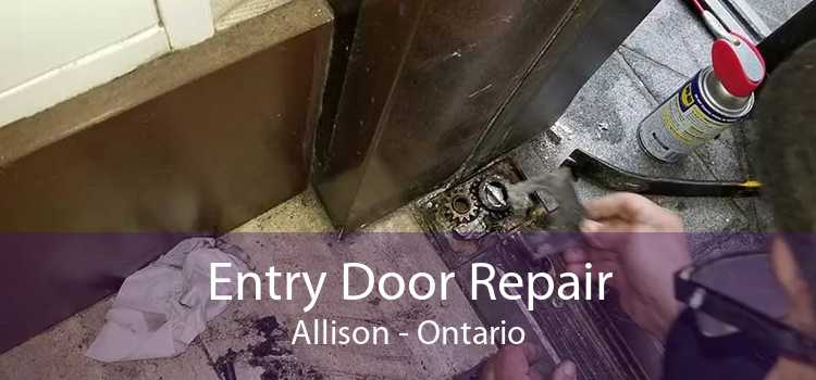 Entry Door Repair Allison - Ontario