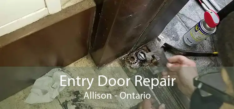 Entry Door Repair Allison - Ontario
