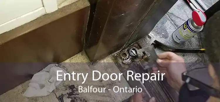 Entry Door Repair Balfour - Ontario
