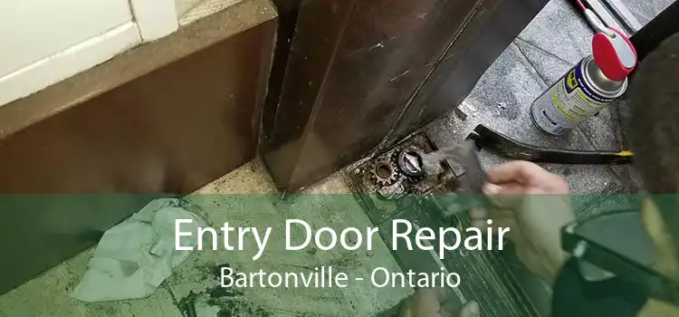 Entry Door Repair Bartonville - Ontario