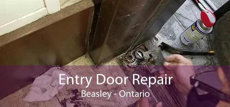 Entry Door Repair Beasley - Ontario