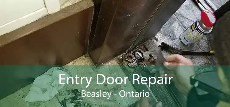 Entry Door Repair Beasley - Ontario