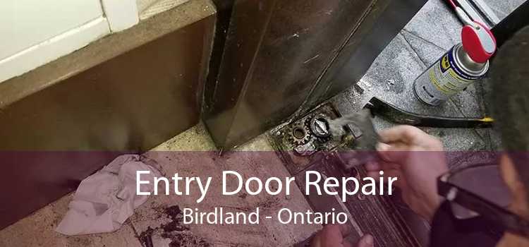 Entry Door Repair Birdland - Ontario