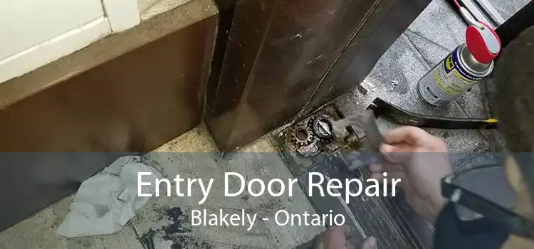 Entry Door Repair Blakely - Ontario