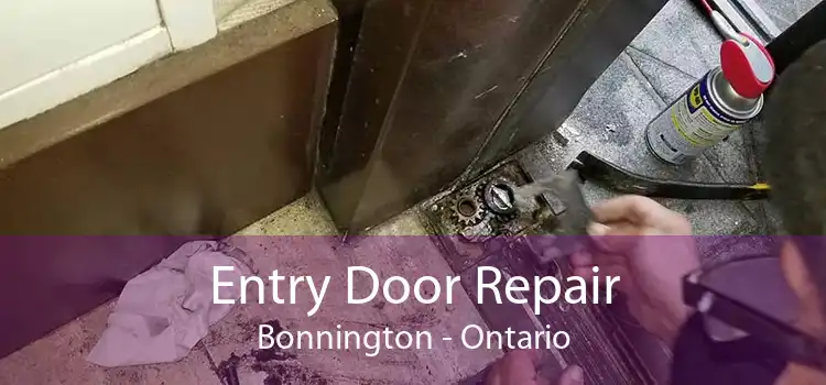 Entry Door Repair Bonnington - Ontario