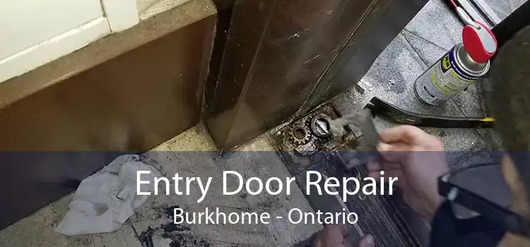 Entry Door Repair Burkhome - Ontario