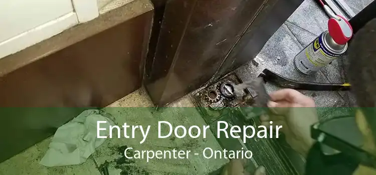 Entry Door Repair Carpenter - Ontario