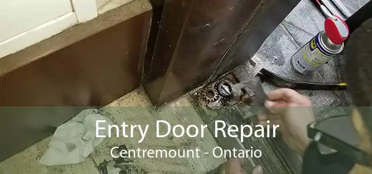 Entry Door Repair Centremount - Ontario
