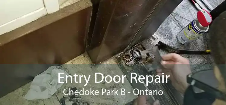 Entry Door Repair Chedoke Park B - Ontario