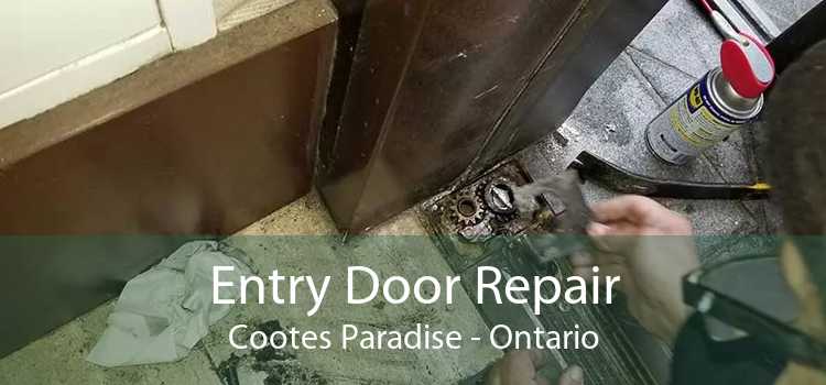 Entry Door Repair Cootes Paradise - Ontario