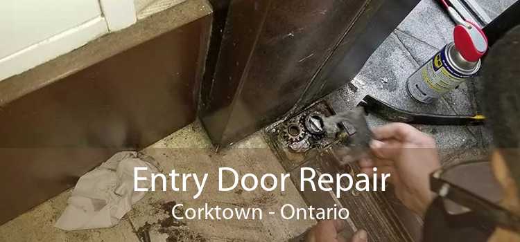 Entry Door Repair Corktown - Ontario