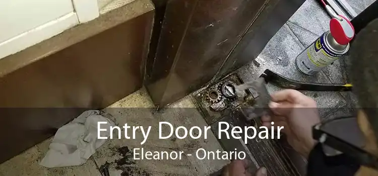 Entry Door Repair Eleanor - Ontario