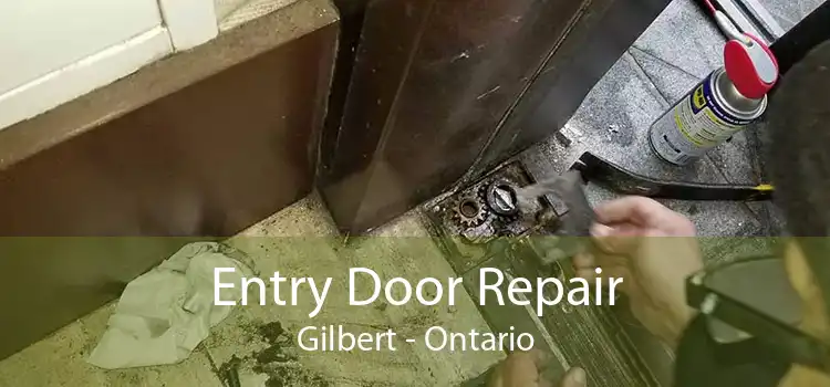 Entry Door Repair Gilbert - Ontario