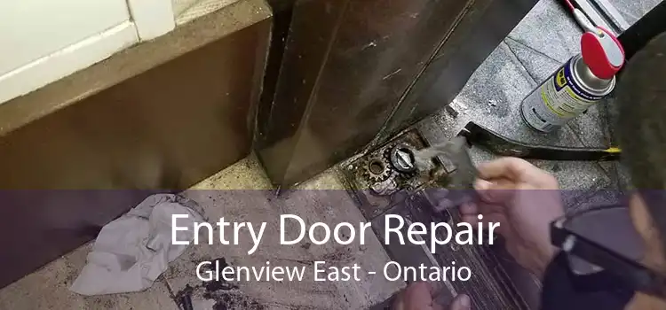 Entry Door Repair Glenview East - Ontario