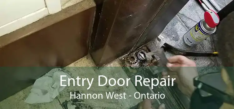 Entry Door Repair Hannon West - Ontario