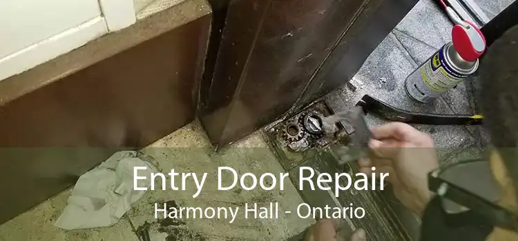 Entry Door Repair Harmony Hall - Ontario