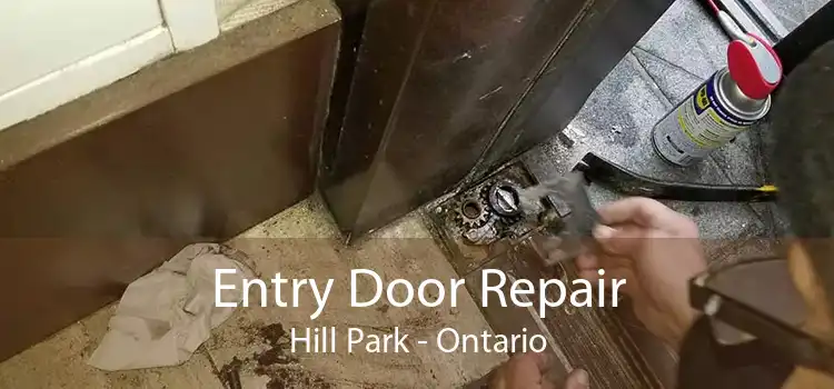 Entry Door Repair Hill Park - Ontario
