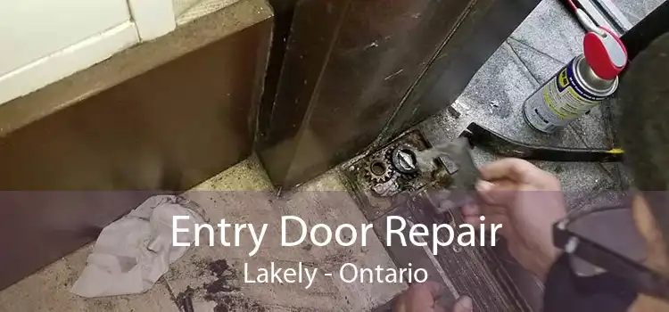 Entry Door Repair Lakely - Ontario