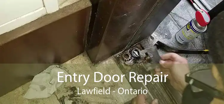 Entry Door Repair Lawfield - Ontario