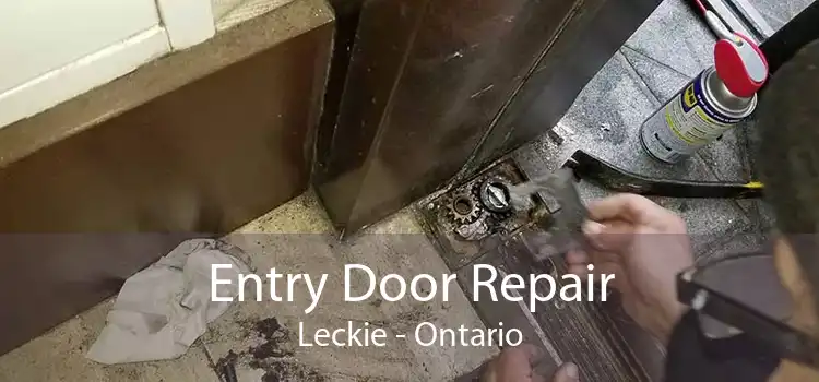 Entry Door Repair Leckie - Ontario
