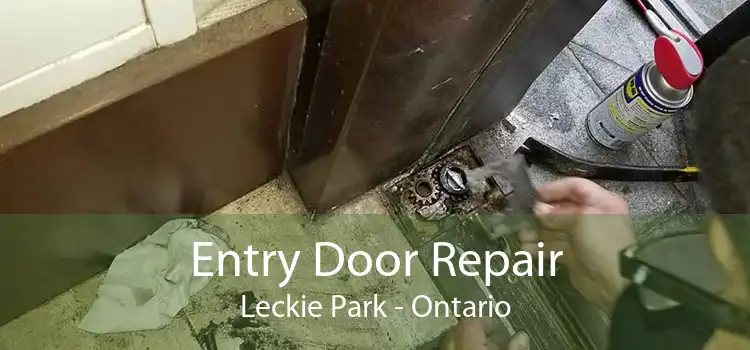 Entry Door Repair Leckie Park - Ontario