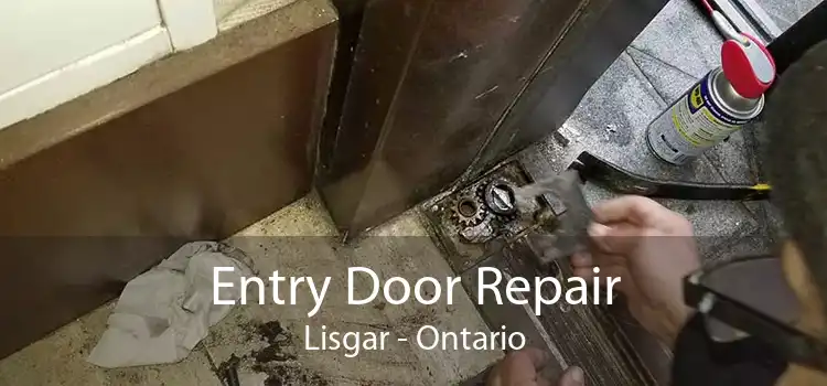 Entry Door Repair Lisgar - Ontario