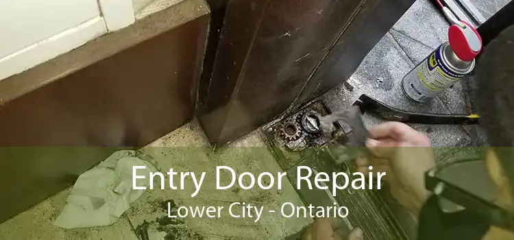 Entry Door Repair Lower City - Ontario